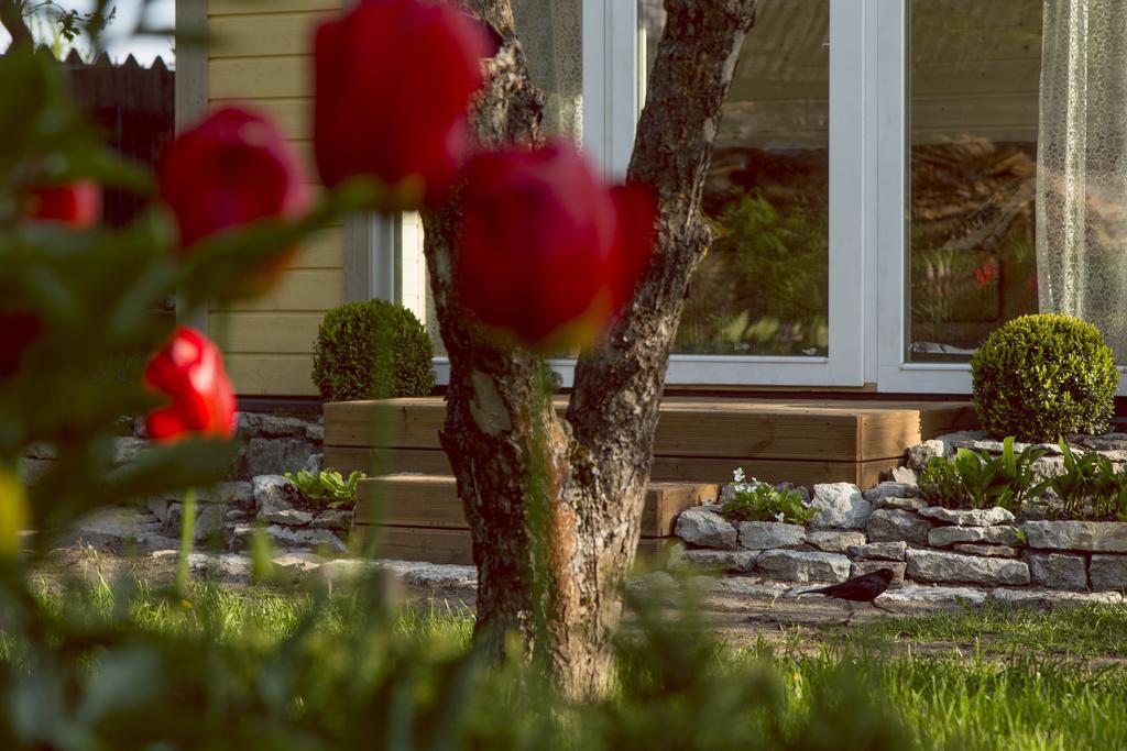Kaevu Holiday House Παρνού Δωμάτιο φωτογραφία