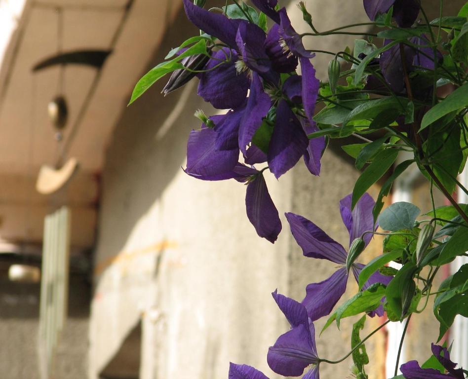 Kaevu Holiday House Παρνού Εξωτερικό φωτογραφία